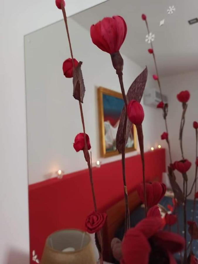 شاكا B&B Omer المظهر الخارجي الصورة